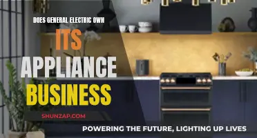 General Electric's Appliance Business: Who's the Owner?