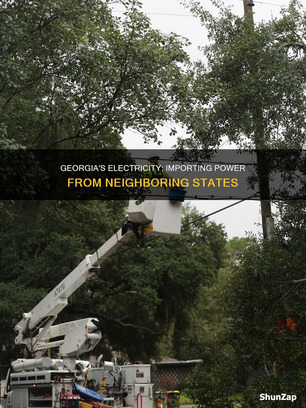 does georgia import electricity from other states