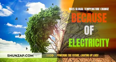 Electricity's Impact: Global Temperature Change and Our Future