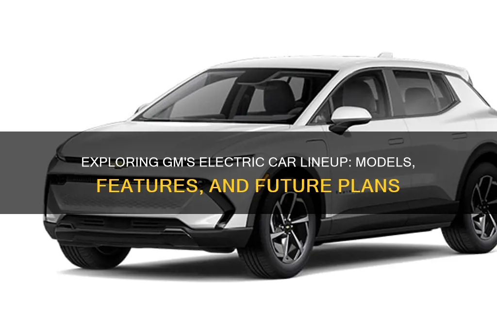 does gm have an electric car