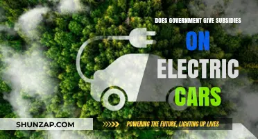 Government Subsidies for Electric Cars: Incentives and Eligibility Explained
