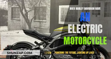 Harley-Davidson's Electric Motorcycle: A New Era?