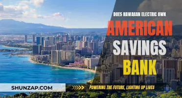 Hawaiian Electric's American Savings Bank Ownership Explained