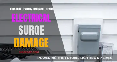 Homeowners Insurance: Electrical Surge Damage Covered?