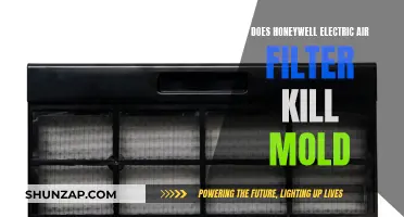 Honeywell Electric Air Filter: Effective Mold Killer?