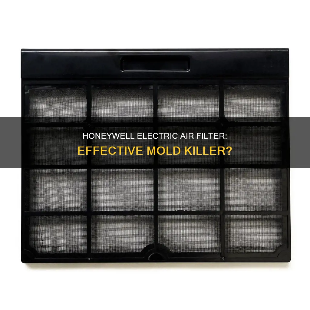 does honeywell electric air filter kill mold
