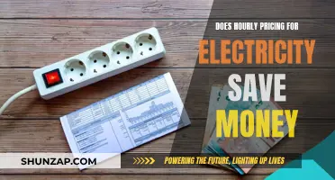 Electricity Pricing: Hourly Rates and Their Money-Saving Potential