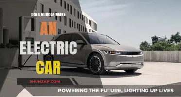 Does Hyundai Offer Electric Vehicles? Exploring Their EV Lineup
