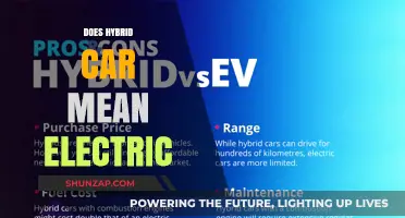 Hybrid vs. Electric: Understanding the Difference in Eco-Friendly Vehicles