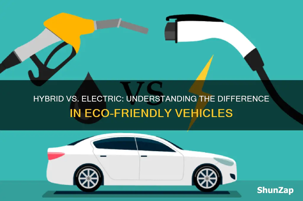 does hybrid car mean electric
