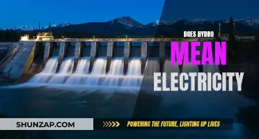 Hydropower and Electricity: What's the Connection?
