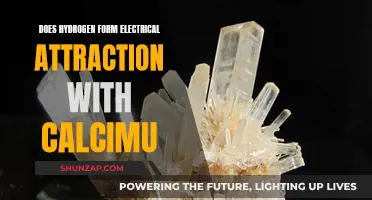 Hydrogen and Calcium: Electrical Attraction Partners?