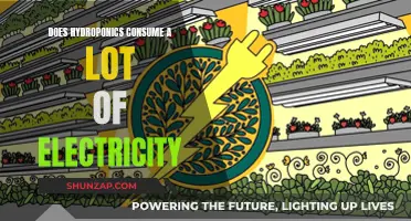 Hydroponics Electricity Consumption: Is It Cost-Effective?