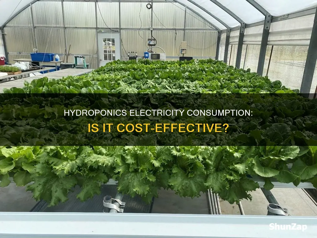 does hydroponics consume a lot of electricity