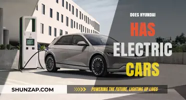 Hyundai's Electric Car Lineup: Exploring Eco-Friendly Options and Innovations