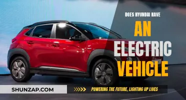 Hyundai's Electric Vehicle Plans: What's the Future Hold?