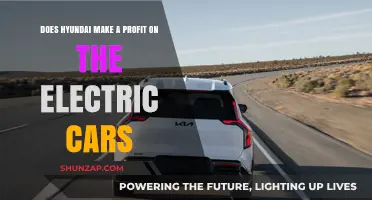 Hyundai's Electric Car Profitability: Unveiling the Financial Reality