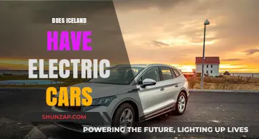 Exploring Iceland's Shift to Electric Vehicles: Trends and Insights