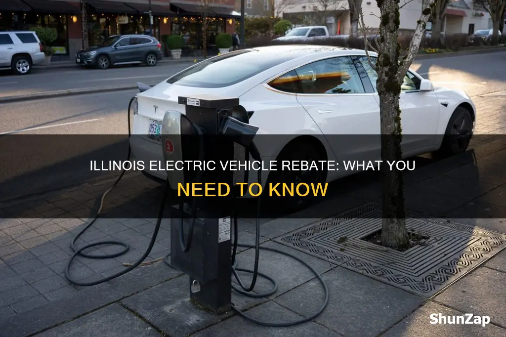 does illinois offer an electric vehicle rebate
