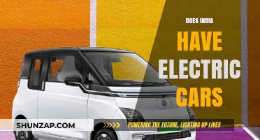 Exploring India's Electric Car Market: Availability, Challenges, and Future Prospects