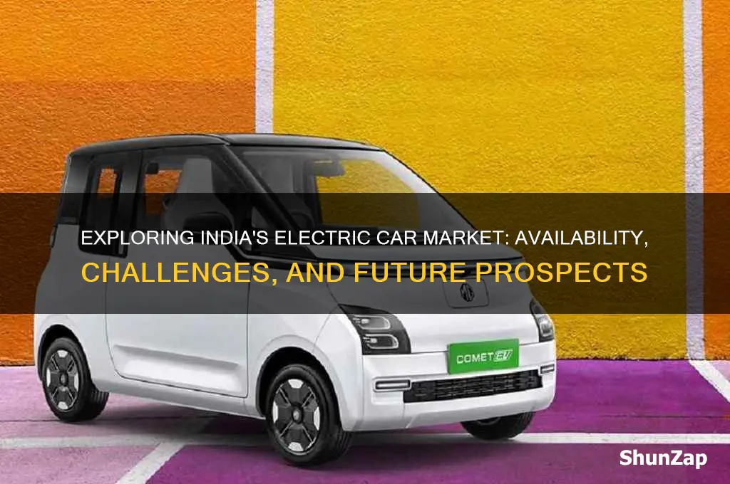 does india have electric cars