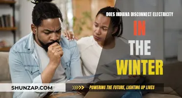 Indiana's Winter Power Outages: What's the Deal?