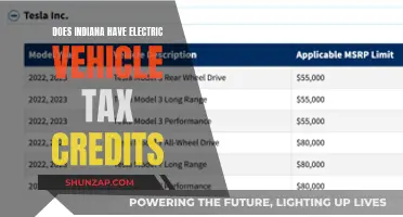 Electric Vehicle Tax Credits: Indiana's Incentives Explored
