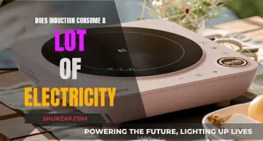 Induction Cooking: Energy Efficient or Electricity Guzzler?