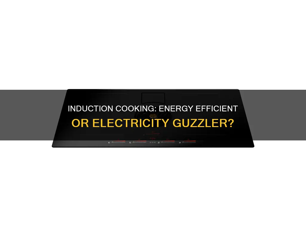 does induction consume a lot of electricity