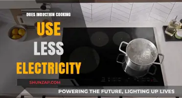 Induction Cooking: Energy Efficiency and Electricity Savings Explained