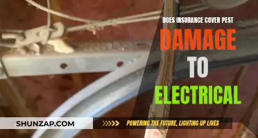 Pest Damage to Electrical: What Does Insurance Cover?
