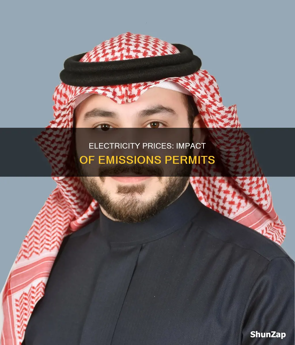 does issuing emissions permits raise electricity prices