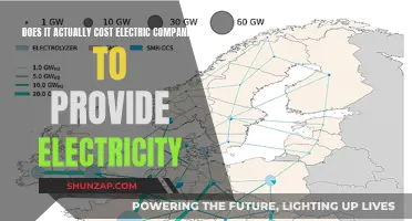 Electric Companies: Powering Profits or Costs?