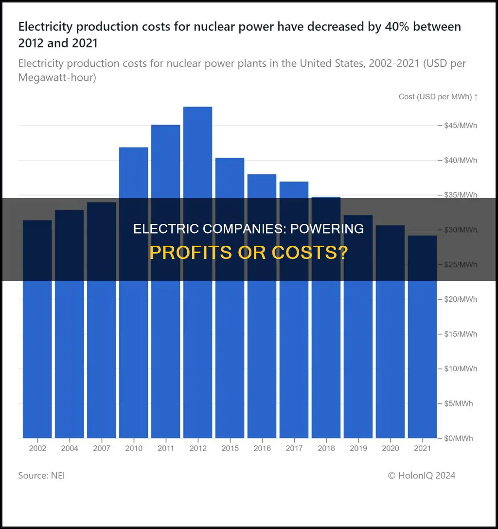 does it actually cost electric companies to provide electricity