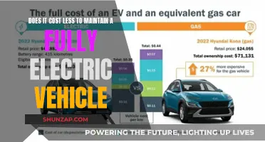 Electric Vehicle Maintenance: Cost Savings and Long-Term Benefits