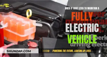 Electric Vehicle Maintenance: Cheaper to Keep the Electric Motor Running?
