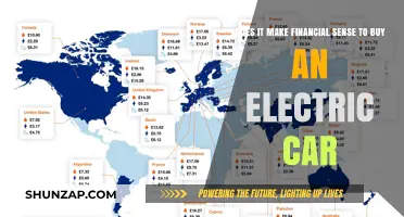 Electric Cars: A Smart Financial Choice or Costly Investment?
