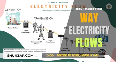 Electricity Flow: Does Direction Impact Functionality?