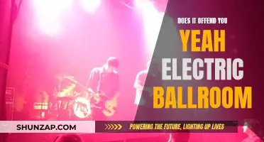 Electric Ballroom: Does It Offend You, Yeah?
