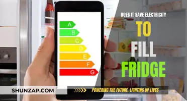 Fridge Efficiency: Full or Empty?