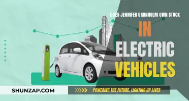 Jennifer Granholm's Electric Vehicle Investment: A Green Venture?