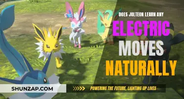 Electric Jolteon: Natural-Born Electric Move Repertoire?