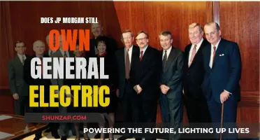 JPMorgan's Influence Over General Electric: Ownership and Control