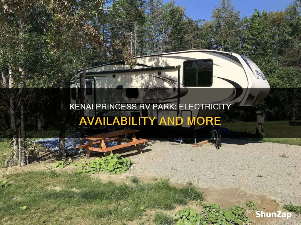 does kenai princess rv park have electricity