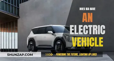 Kia's Electric Revolution: Unveiling the Company's First EV