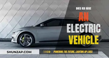 Kia's Electric Vehicle Plans: Exploring the Future of Driving
