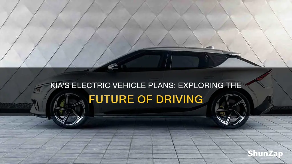 does kia have an electric vehicle