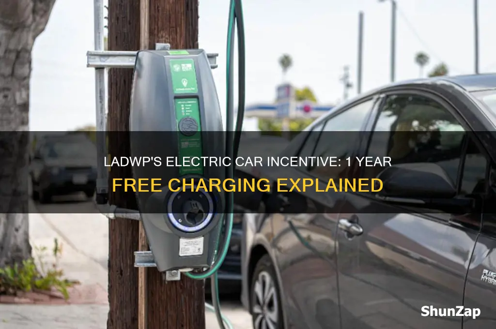 does ladwp provide 1 year free charging for electric cars