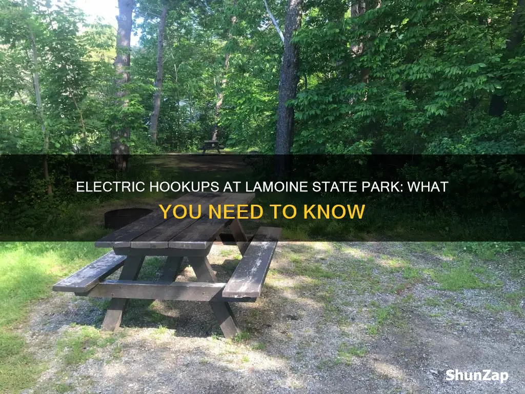 does lamoine state park have electric hookups