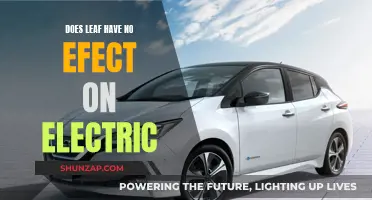 Electric Cars and the Leaf's Effect: Is There Any?